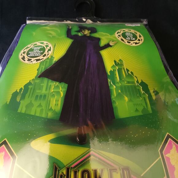 Womens Wicked Oz Movie Elphaba Deluxe Adult Large 12-14 Witch Halloween Costume - Picture 13 of 13